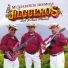 Los Jilgueros del Pico Real