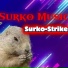 SURKO-MUSIC