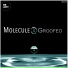 Groofeo