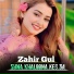 Zahir Gul