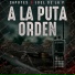 Capotes, Joel De La P