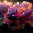 White Fox Music, Константин Лем