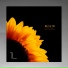 Nessim