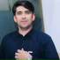 Wazir Pardes