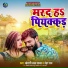 Khesari Lal Yadav, Neha Raj