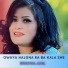 Brishna Amil