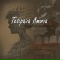 Piano by Mamedov