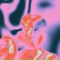 Ssort