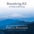 Francesco Branciamore, Crossover Ensemble