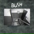 BUSH