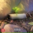BEAT BY SG x Gummy Beatz