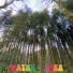 Mathu