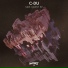 C-DU