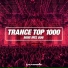 Armin Van Buuren And Paul Van Dyk Pres DJs United