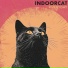 indoorcat