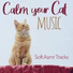 RelaxMyCat, Cat Music Dreams