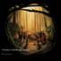 Videri String Quartet