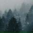 Alipov