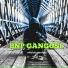 BNP GANGOSI