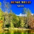 Denge Welat