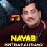 Ikhtiyar Ali Dayo