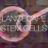 Lancecape