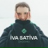Iva Sativa