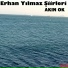 Akın Ok