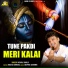 Vishal Shally feat. Anil Tilakdhari