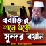 Mawlana Tofazzal hossain bhairovi