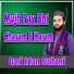 Qari Irfan Sultani