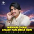 Amir Niazi