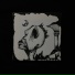 Kogty