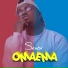 Skiibii