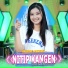 Cantika Davinca, Brodin feat. Ageng Music