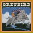 Greyhounds, T-Bird And the Breaks