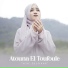 Veve Zulfikar