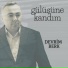 Devrim Berk