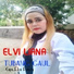 ELVI LIANA
