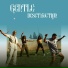 GENTLE DESTRUCTION