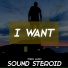 SOUND STEROID