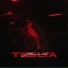 Teslya