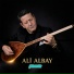 Ali Albay
