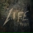 The L.I.F.E. Project