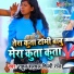 Rahul Hulchal, Shilpi Raj