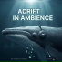 Dwellers of Ambient