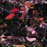 Baltra