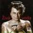 Vilém Čok