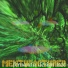 Mentufacturer