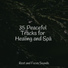 Relax Meditation Sleep, Yoga, Ambient Forest